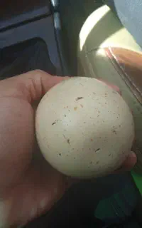 سنگ الماس اسیاب