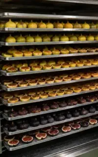 دستگاههای خشک کن میوه موز گلابی خرماzhq35
