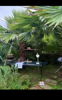آموزش ماساژ و استخدام ماسور و ماسیس