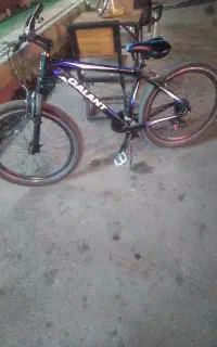دوچرخه