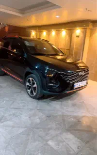 ایکس ۳۳ کراس
