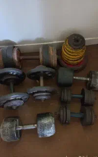 هالتر و دمبل