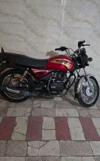 طرح باکسر دینو