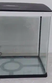 اکواریم شر کتی .دلسا.