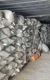 جاشیر