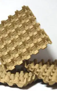 شانه تخم مرغ