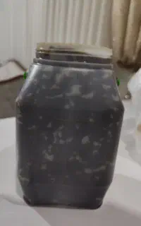 رب الوچه ترش ونمکی