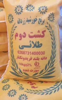 برنج کالابرگ و اصفهان کارت پذیرفته م کشت دوم طلائی