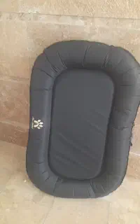 پت وحیوانات