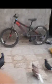 دوچرخه 24