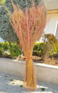 جارو خدمات شهرداری