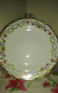 بشقاب میوه خوری