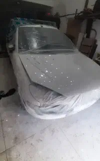 نقاشی خودرودرمهاجران