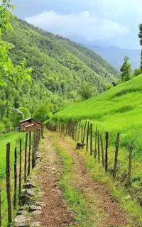 کارگر میخوای تماس بگیر