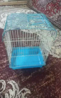 قفس پرنده