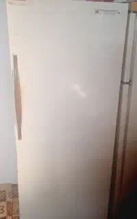 دوعدد یخچال مناسب خونه باغ