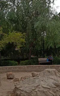 نیازمند نگهبان