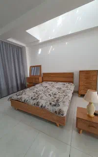 تخت و خواب مگنت