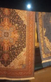 فرشینه ترمز دار ضد آب