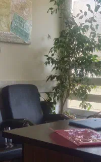 پشتیبان آموزشی