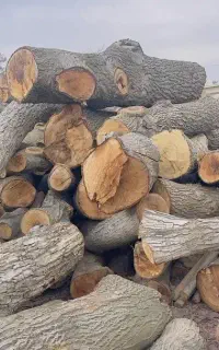 خرید. خریدار چوب