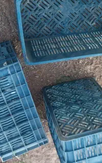 سبد ۲۵ کیلویی