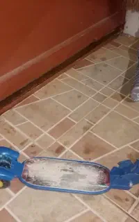 اسکوتر
