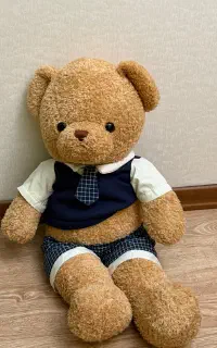 عروسک خرس با لباس مردانه