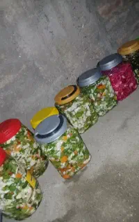 خیارشور و ترشی
