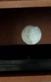 دی وی دی
