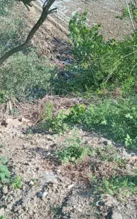 نیاز به نخاله