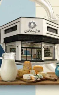 نیروی کار خانم