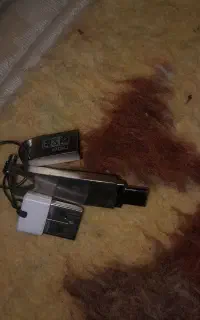 دو عدد فلش
