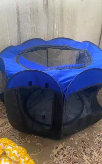 وسایل کاملا نو برای گربه و سگ