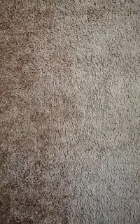 پالاز موکت جنس درجه 1
