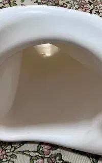 قیف داخل توالت فرنگی