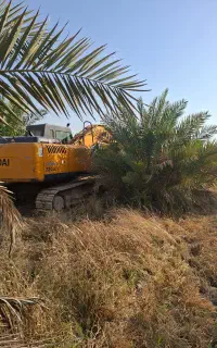 اجاره بیل مکانیکی