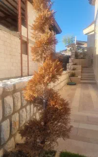 پرستار