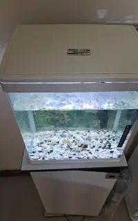 آکواریوم دلسا k390 با پایه
