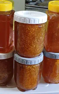 عسل