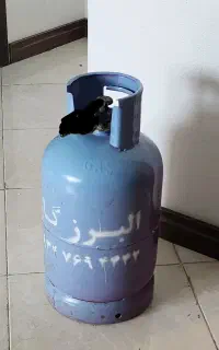 کپسول البرز گاز بنفش