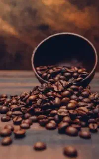 پخش عمده و خورده قهوه(برادران چروکی)
