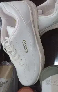 کفش‌سایز4oنُو