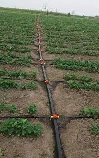 آبیاری قطره ای  باغ و باغچه، کشاورزی