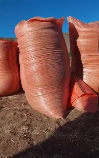 کاه