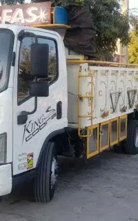 فاو ۹۷ بدون رنگ