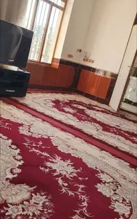 ۳ عدد فرش دوازده متری درحدنو