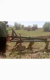 گاو اهن رومانی