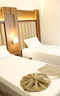 ضامن آهو