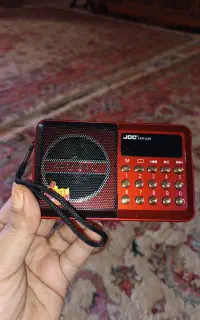 رادیو جیبی FM فلش و مموری خوری